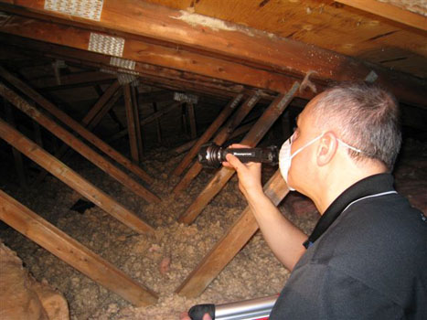 Home Inspection 8