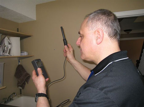Mold Hygometer 5