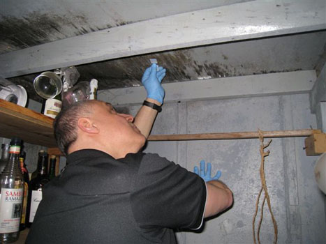 Mold Tape  Sampling 7