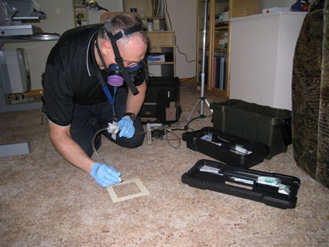 Carpet Mold Sampling 1
