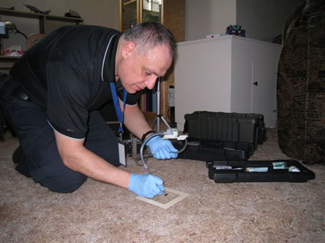 Carpet Mold Sampling 1 3