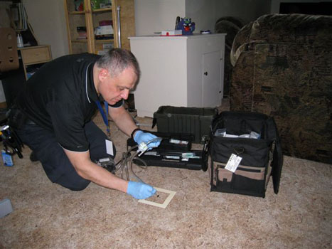 Carpet Mold Sampling 5