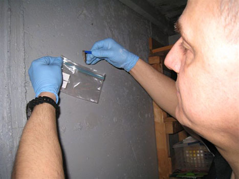 Mold Bulk Sampling 2