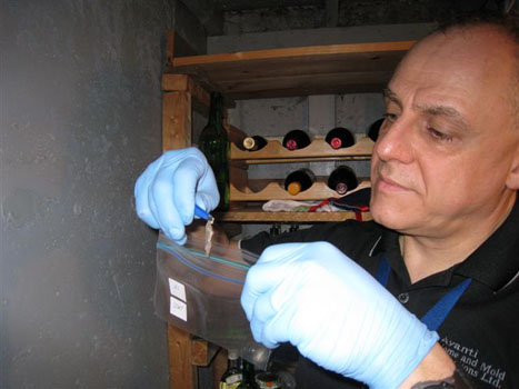 Mold Bulk Sampling 3