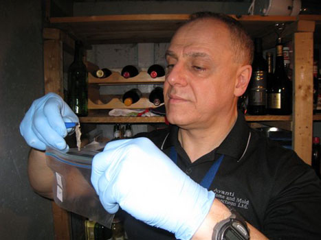 Mold Bulk Sampling