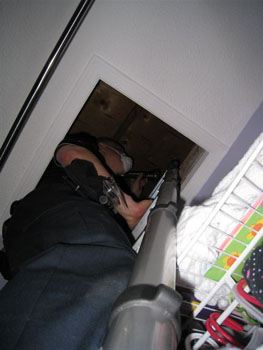 Attic Mold 3