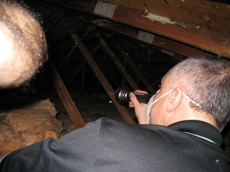 Attic Mold 6