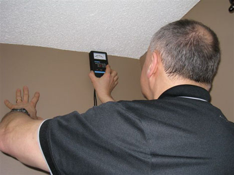 Moisture Meter