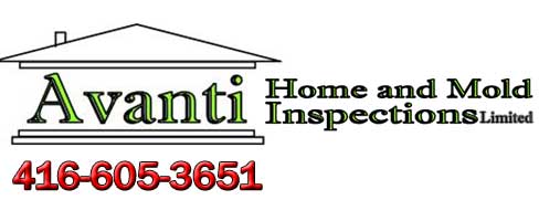 Avanti Home & Mold