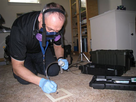 Carpet Mold Sampling